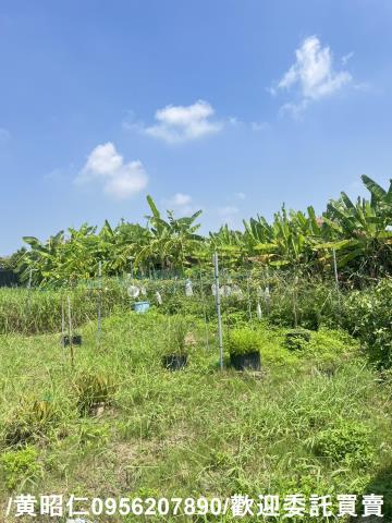 台南將軍農地-11