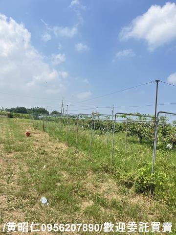 台南將軍農地-8