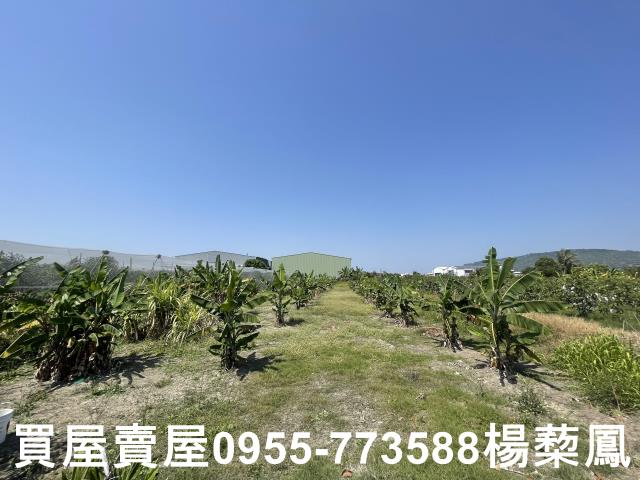 高雄岡山農地-3