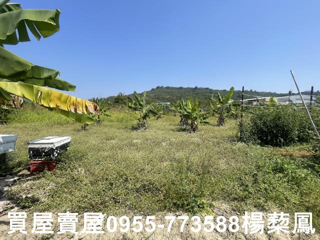 高雄岡山農地-8