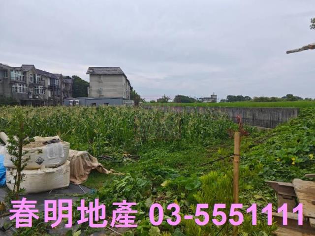 新竹新豐農地-4