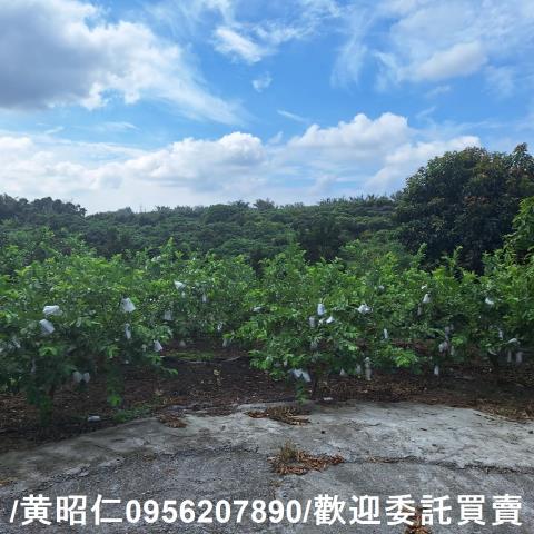 台南玉井建地-1