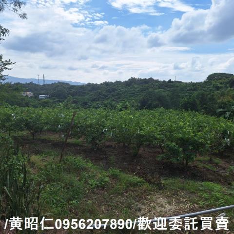 台南玉井建地-4