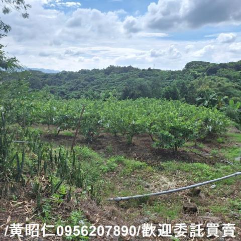 台南玉井建地-7