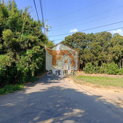 桃園新屋農地-5