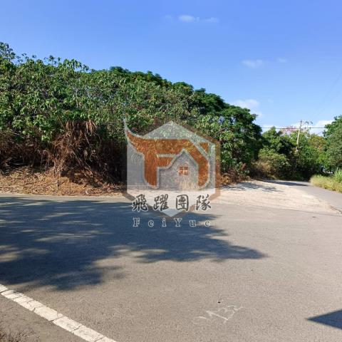 桃園新屋農地-6