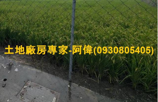 屏東屏東市工業地-1