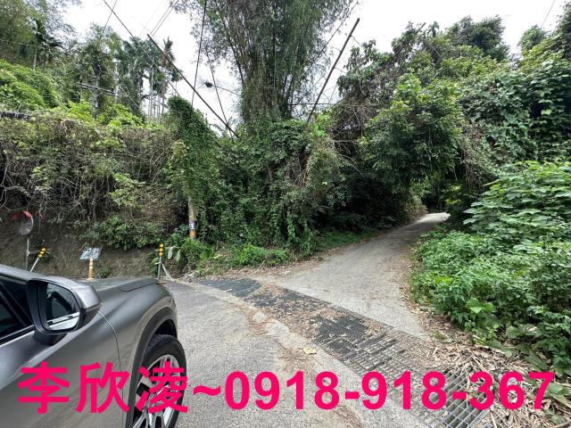 古坑農地-2
