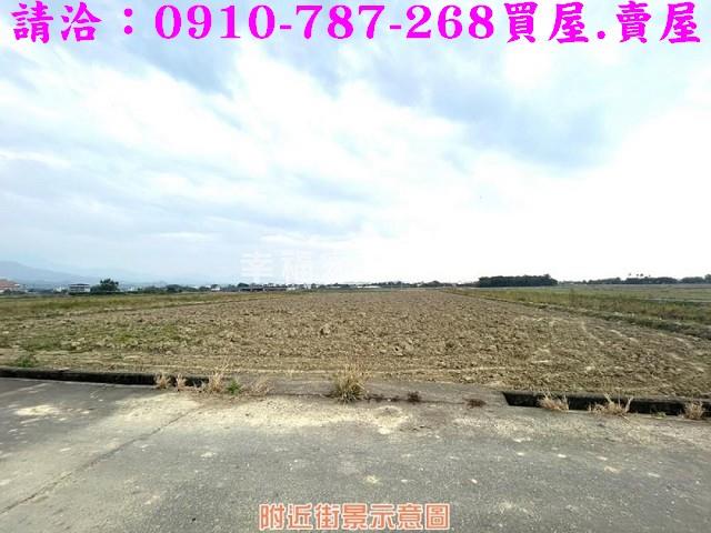 台南農地-2