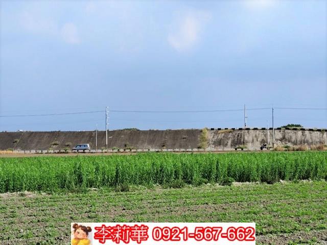 台南農地-5