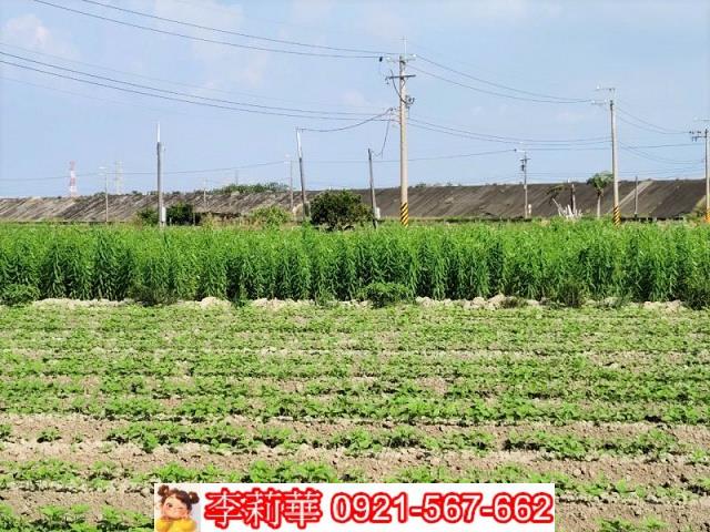 台南農地-6