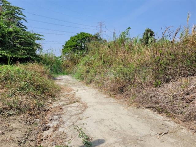 高雄阿蓮農地-10