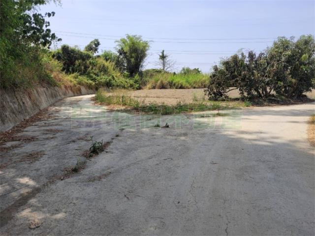 高雄阿蓮農地-11