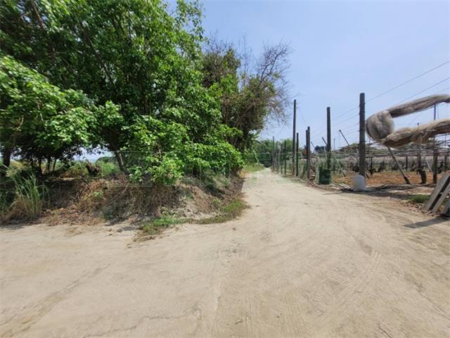 高雄阿蓮農地-14