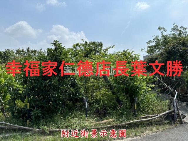 台南西港建地-13