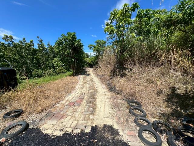 台南南化農地-7