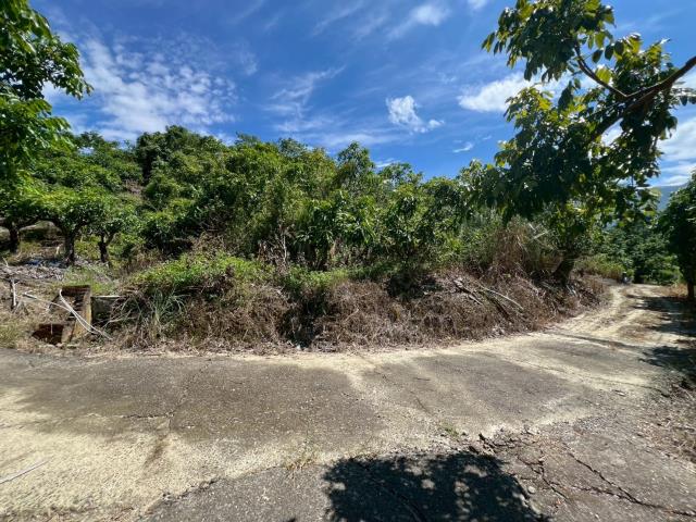 台南南化農地-8