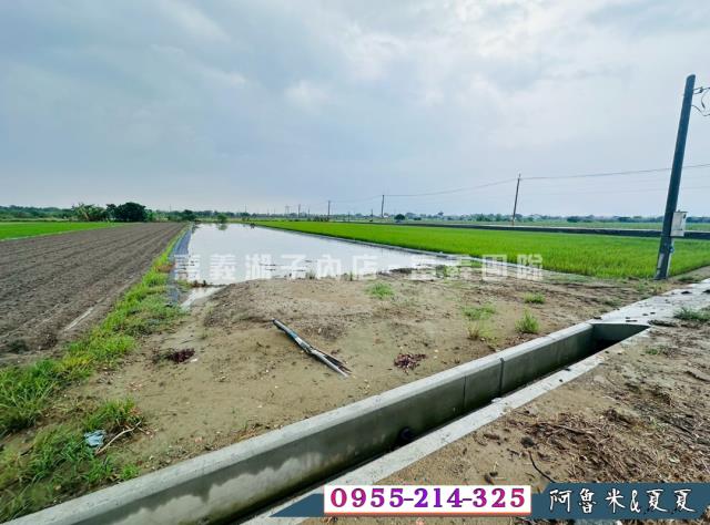 嘉義鹿草農地-7