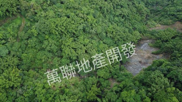台中山坡地保育區林業-10