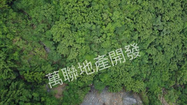 台中山坡地保育區林業-11