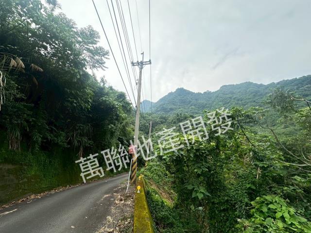 台中山坡地保育區林業-6