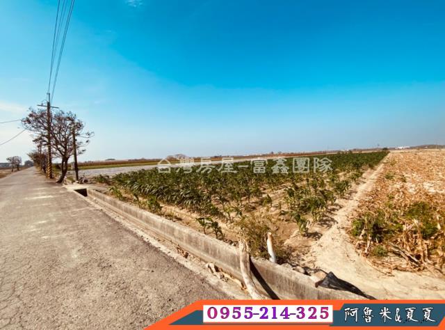 嘉義六腳農地-2