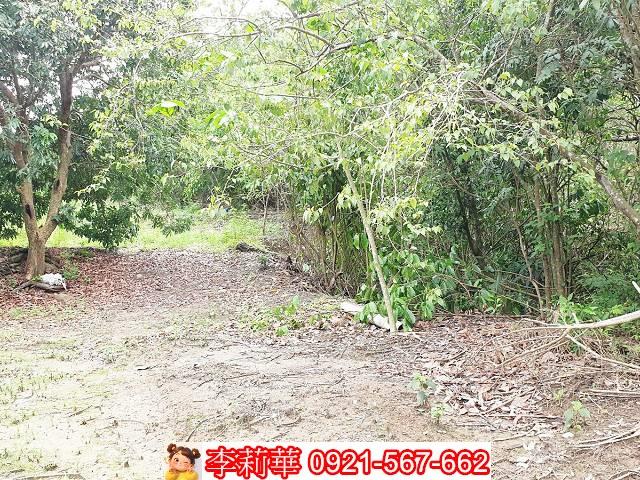 高雄田寮農地-10