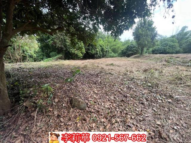 高雄田寮農地-3