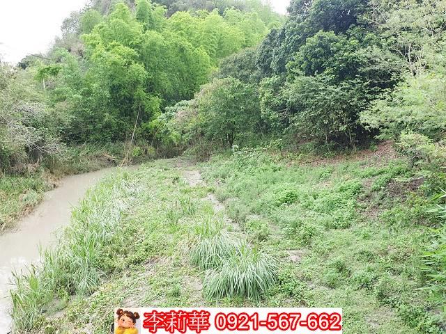 高雄田寮農地-4