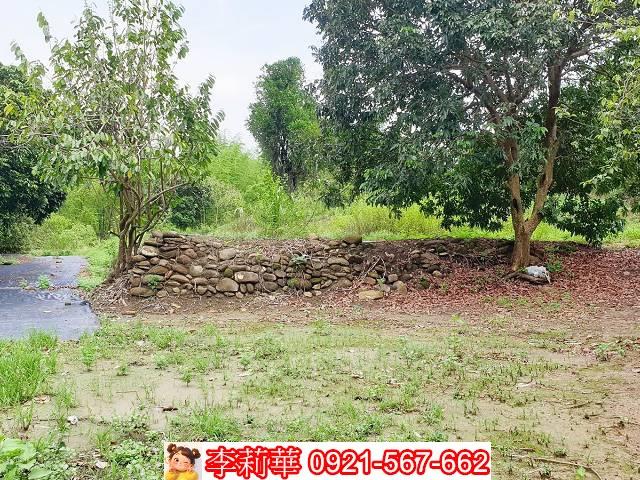 高雄田寮農地-8