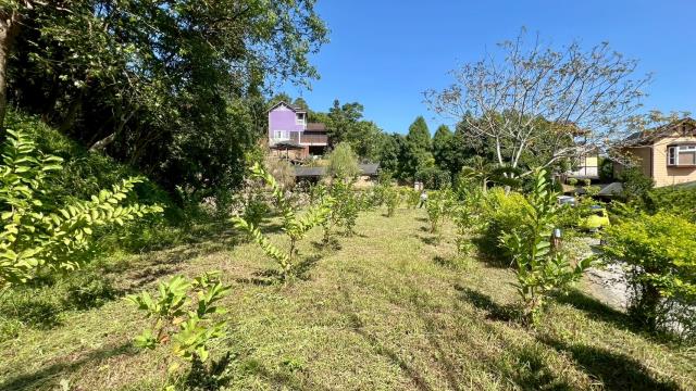 新竹橫山農地-13