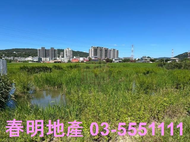 新埔農地-8