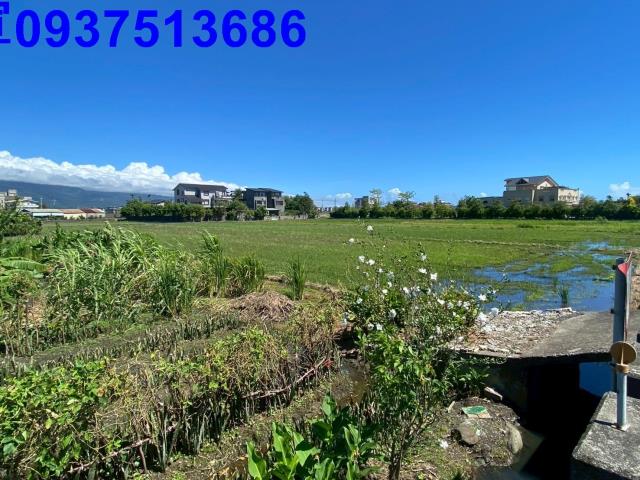 宜蘭市農地-2