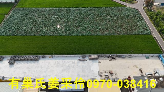 民雄農地-6