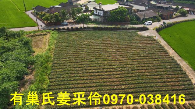 民雄農地-2