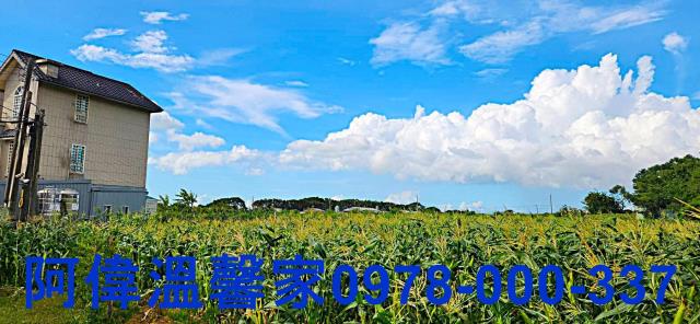 新竹新豐農地-5