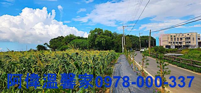 新竹新豐農地-7