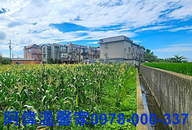 新竹新豐農地-8