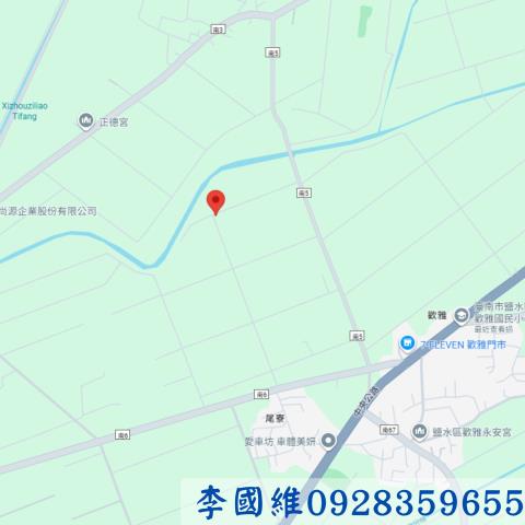 台南鹽水農地法拍-4