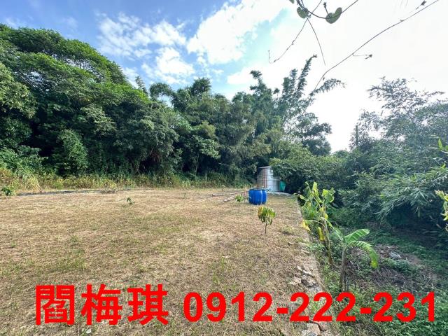 台南關廟農地-3