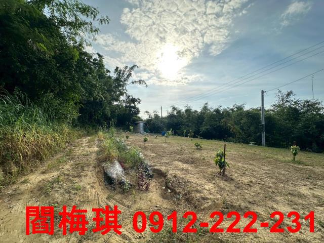 台南關廟農地-4