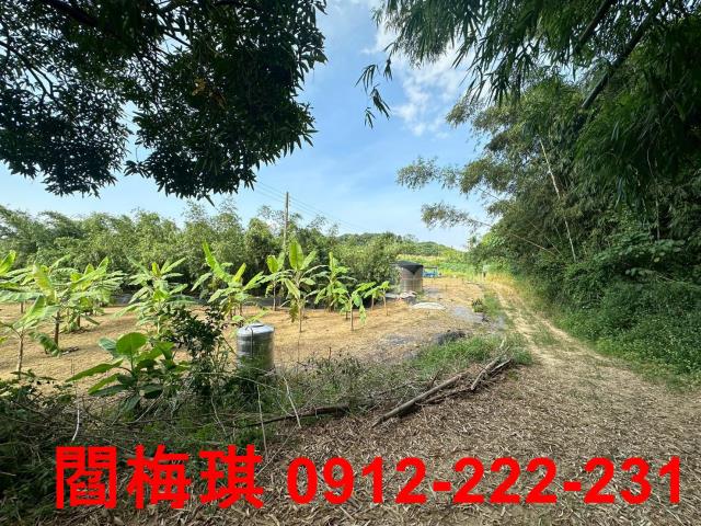 台南關廟農地-8