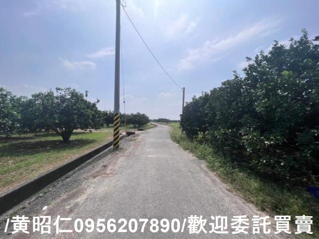 台南麻豆農地-1