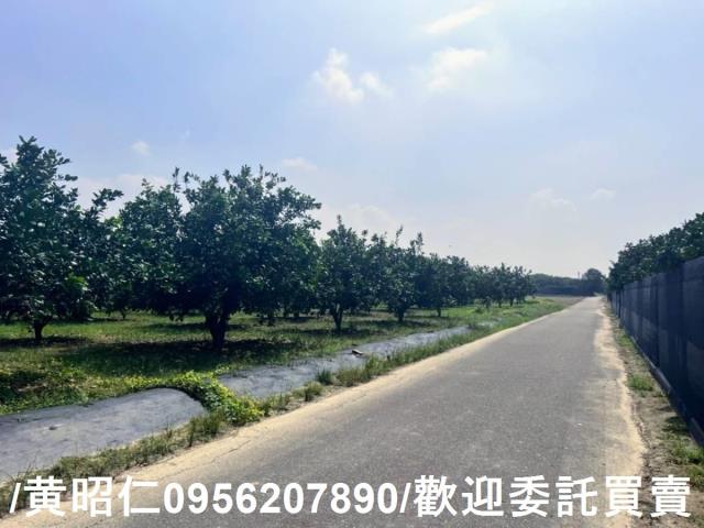 台南麻豆農地-3