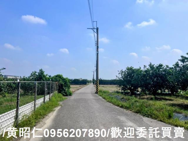 台南麻豆農地-6