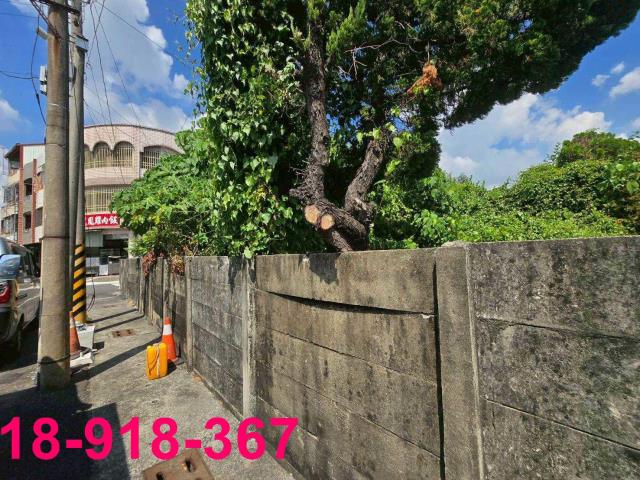 嘉義溪口建地-11