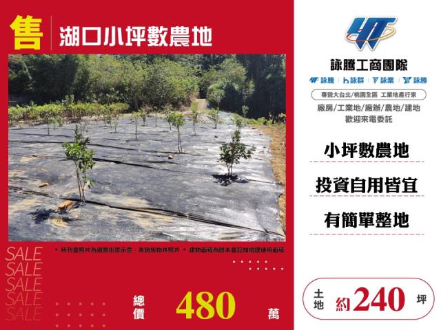 新竹湖口農地-1