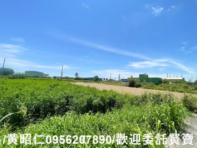 台南安定農地-3