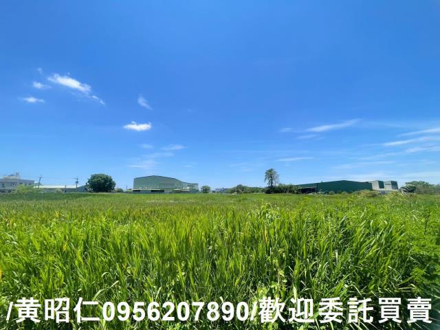 台南安定農地-6