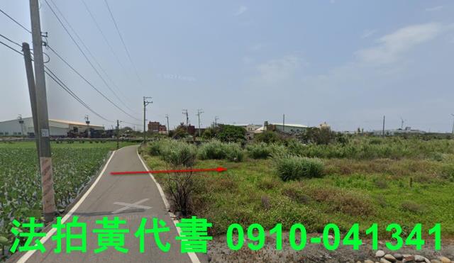 大安區法拍農地-10